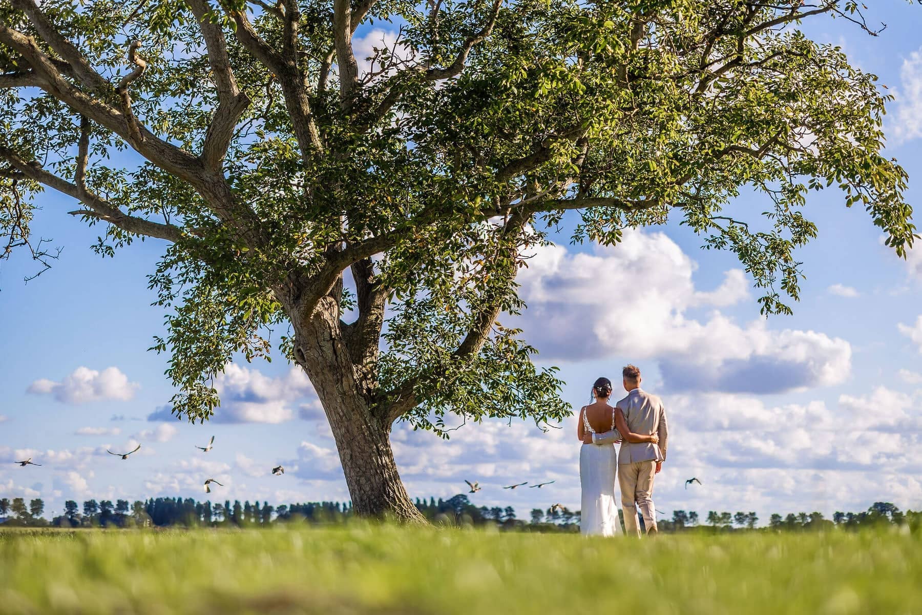 Couple beneath a large tree in a meadow, with birds in the blue sky