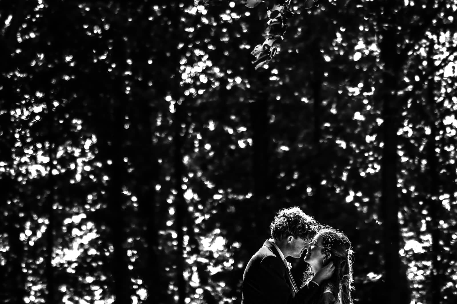 The couple kisses beneath a canopy of dappled light (black and white)