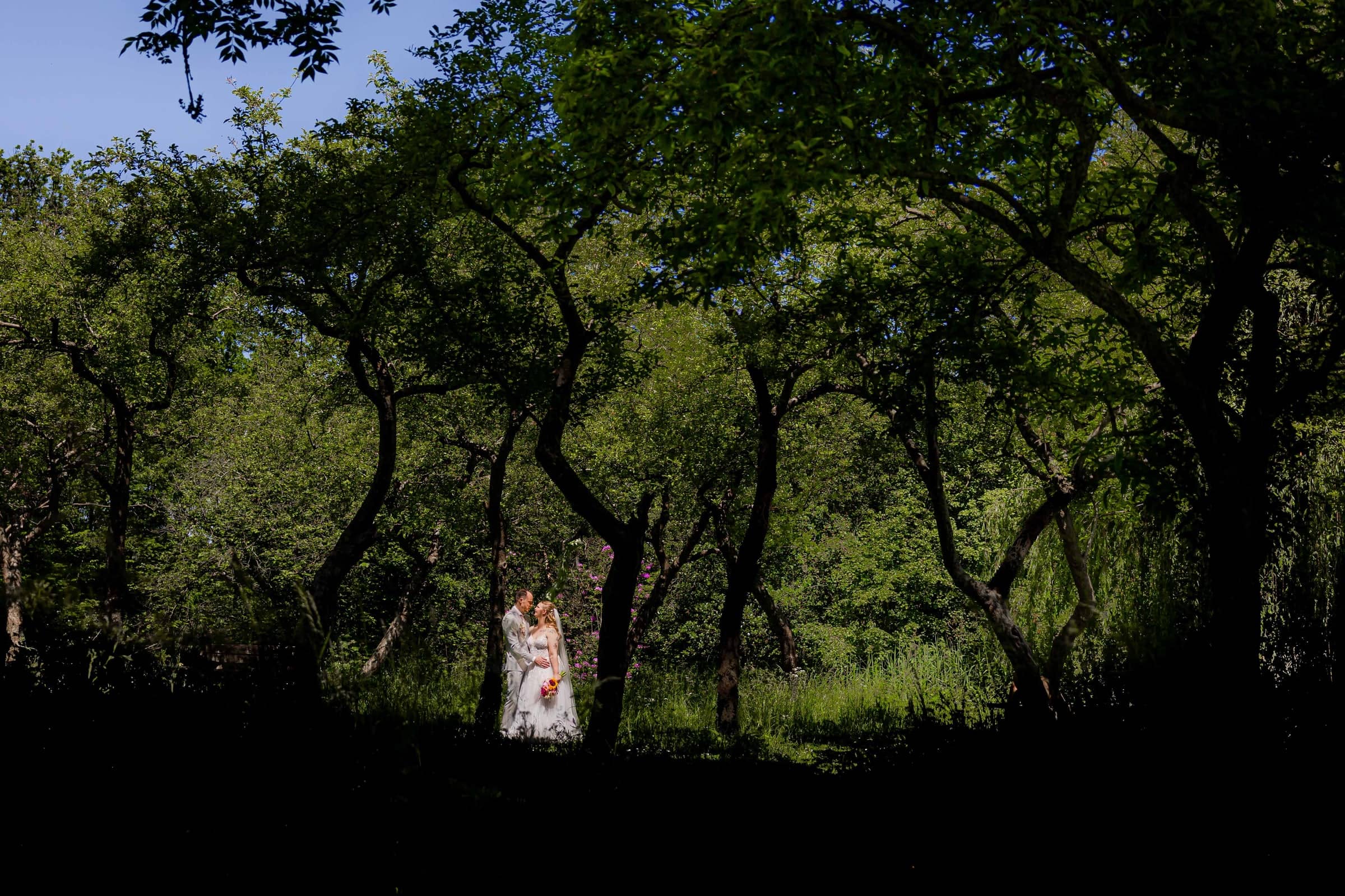 A small couple in a beam of light between the dark trees of a forest