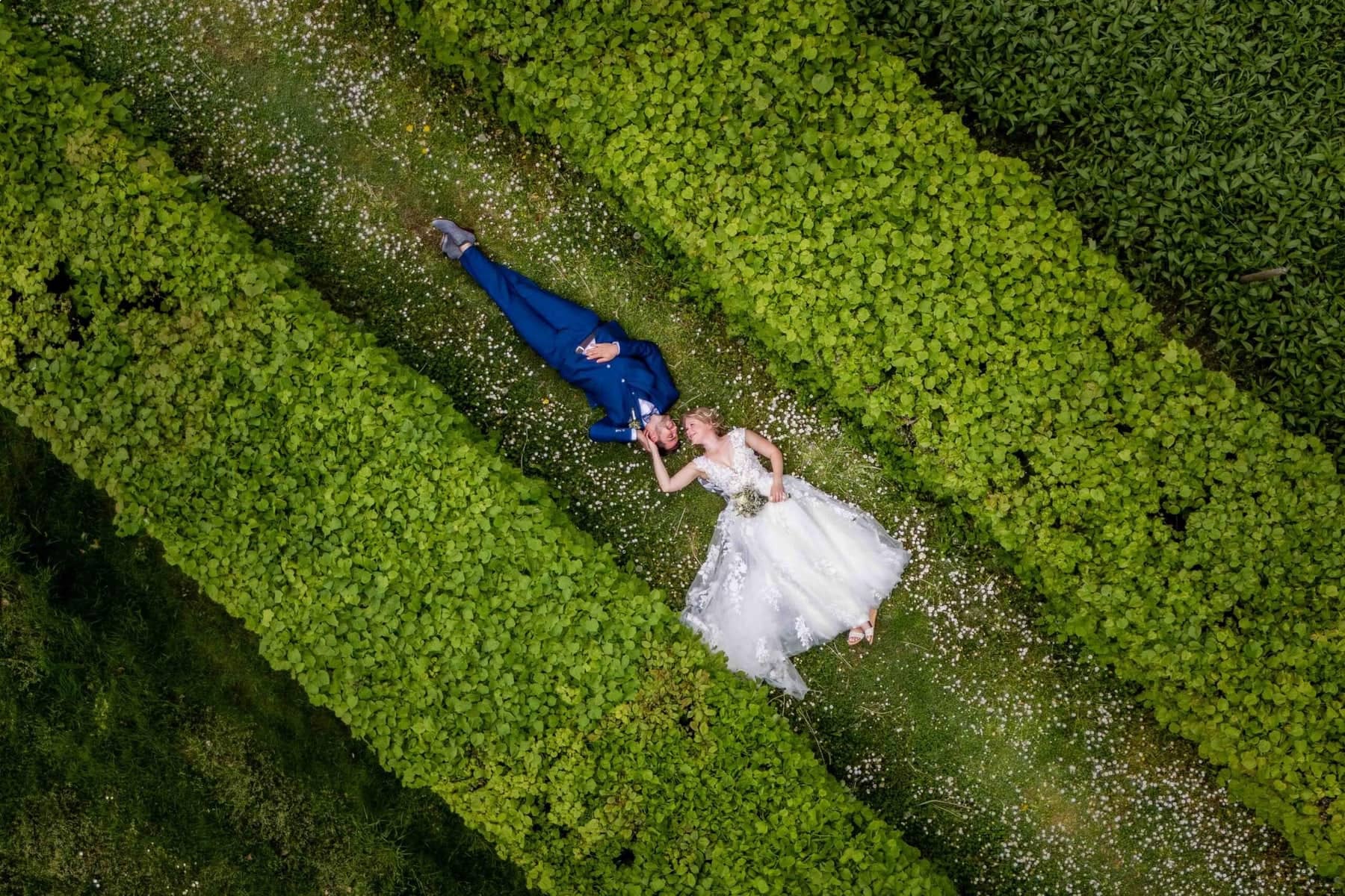 Drone photo of a couple lying in the grass between two hedges