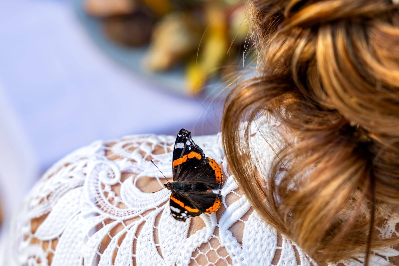 A butterfly lands on the bride’s lace dress