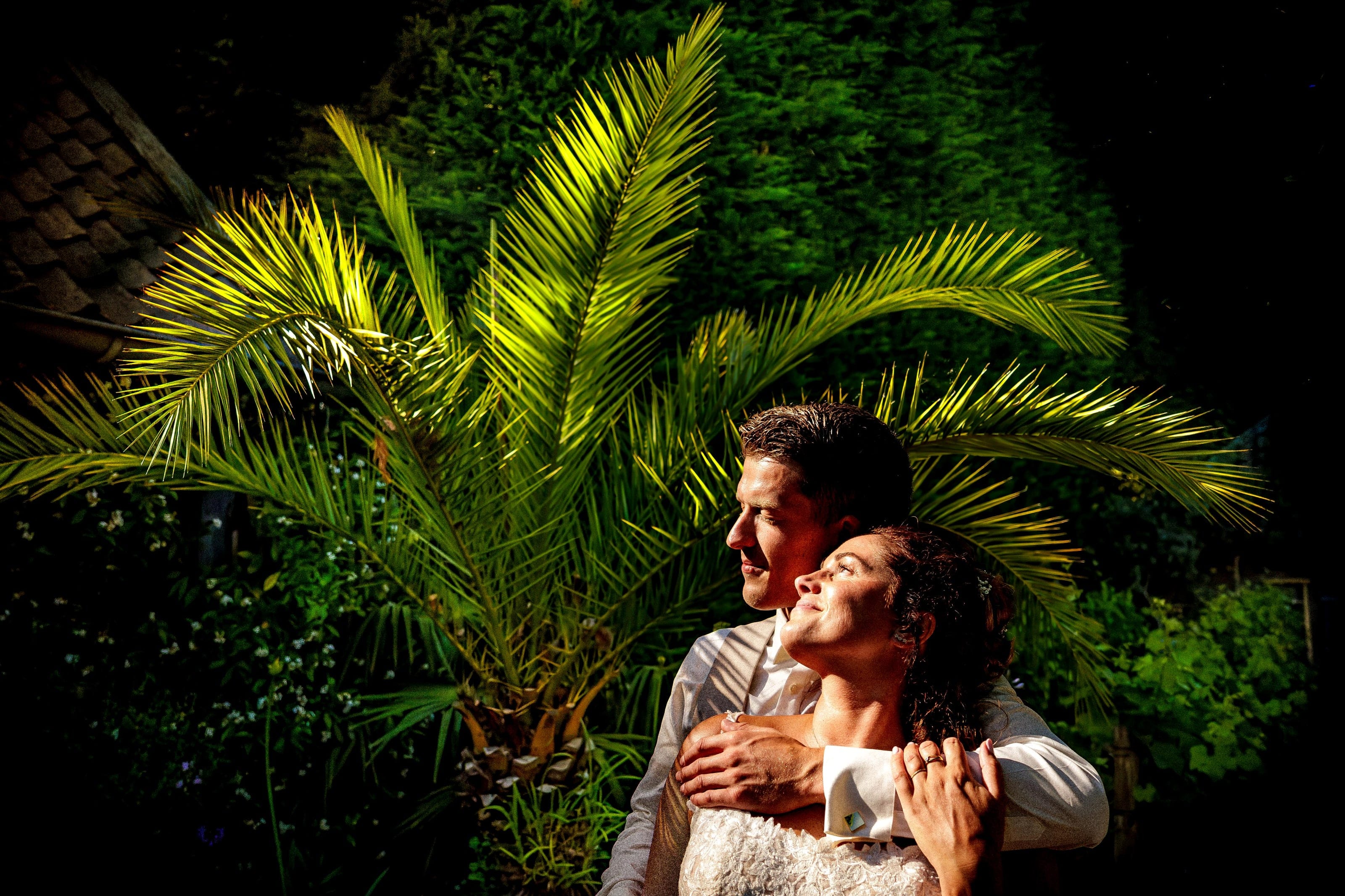 Couple lit by flash between the leaves of a palm tree